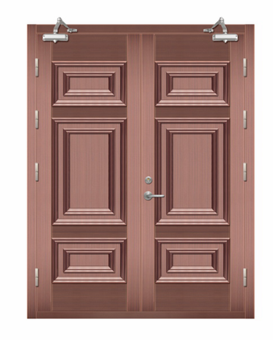 �������g(sh��)